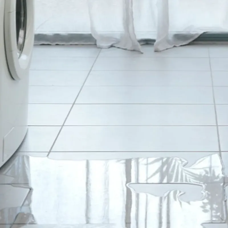 Appliance Leak Cleanup in Buffalo County, WI