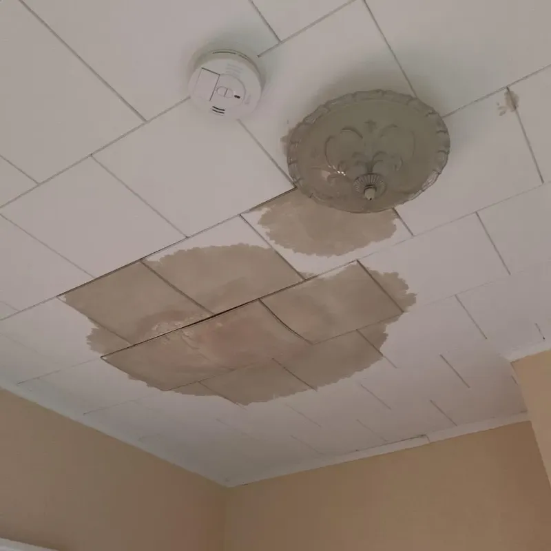 Ceiling Water Damage Repair in Buffalo County, WI
