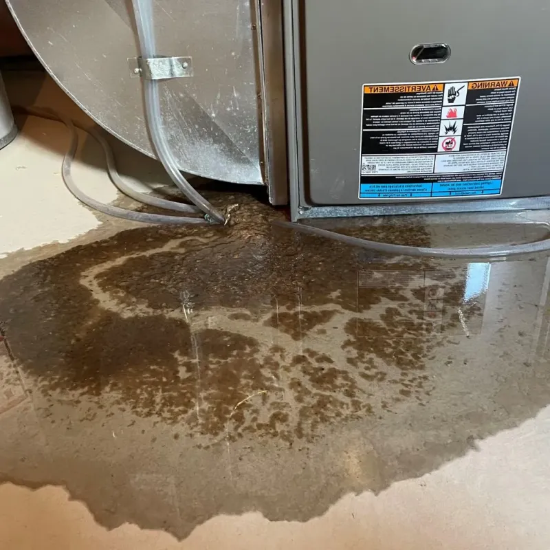 Pipe Burst and Leak Restoration in Buffalo County, WI